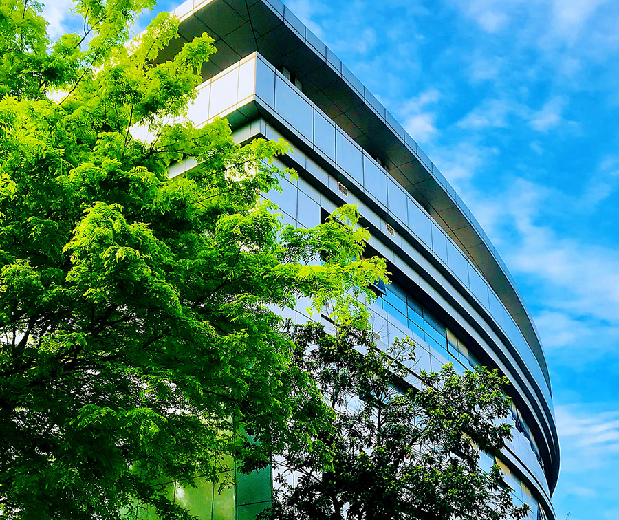 hahabet星辰大海官方网站-妄想从这里起头